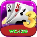 wc t20 Plus Edition v5.1.3