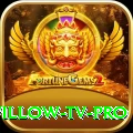 willow tv Mega - Win Real PKR