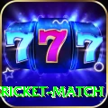 women cricket match VIP Edition v4.8.7